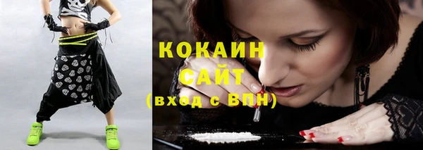 стаф Горняк