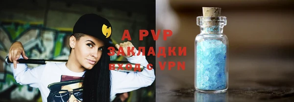 стаф Горняк