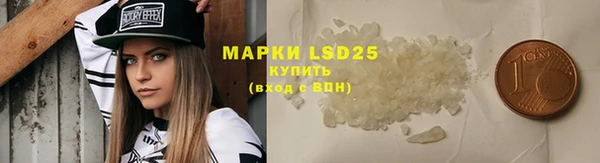 стаф Горняк