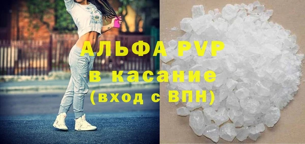сатива Горно-Алтайск