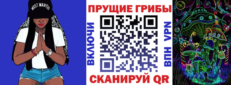 Галлюциногенные грибы Cubensis  Александровское 